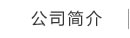 消失模鑄造